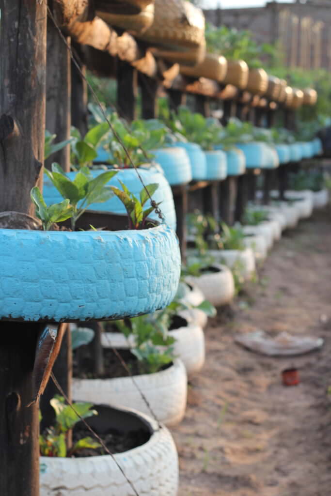 Landwirtschaft Ausbildung